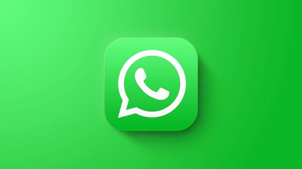 whatsapp business manychat